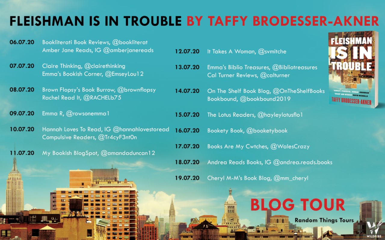 Fleischman Is In trouble by Taffy BrodesserAkner Bookliterati Book